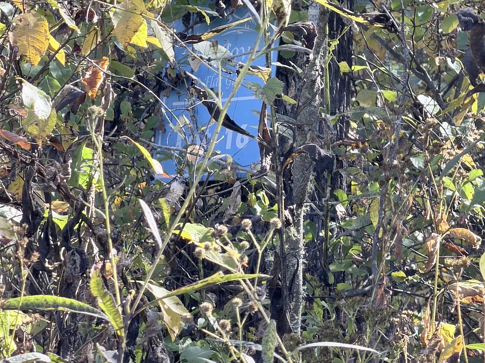 2nd image of 16 Rustling Woods Trail