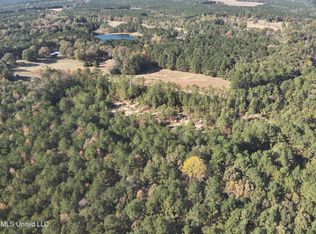 0 Barefoot Springs Rd, Pelahatchie, MS 39145