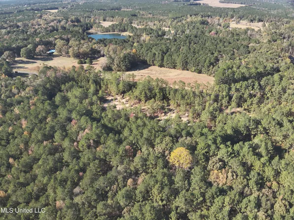 0 Barefoot Springs Rd, Pelahatchie, MS 39145