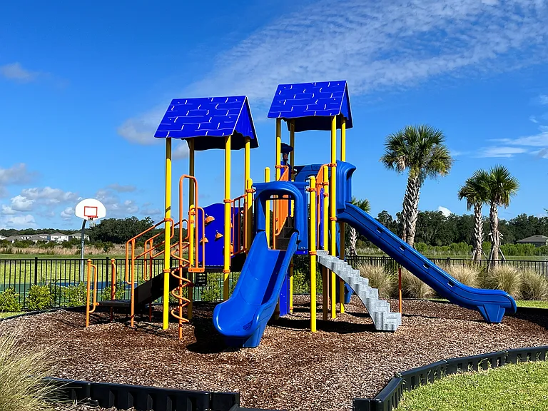 33744 Jasmine Star Loop — Photo 29