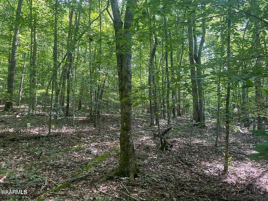 1st image of Hiwassee View Dr