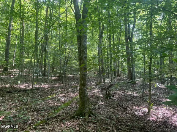 Hiwassee View Dr, Jacksboro, TN 37757