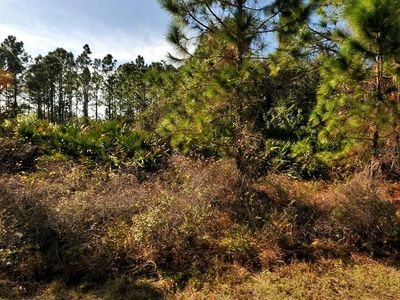 Filbert St #7, North Pt, FL, 34288