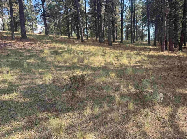 Lot 60 Valley Rd, Angel Fire, NM 87710