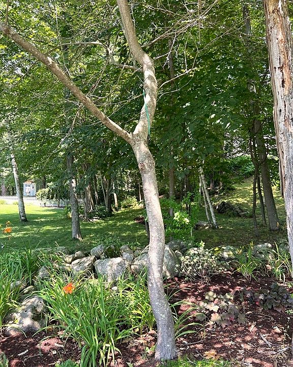 2nd image of 57 Babcock Tavern Rd