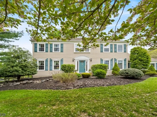 41 Dory Dilts Rd, Raritan Twp., NJ 08822