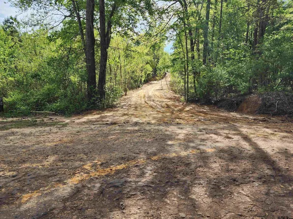 Aster Rd, Gilmer, TX 75644