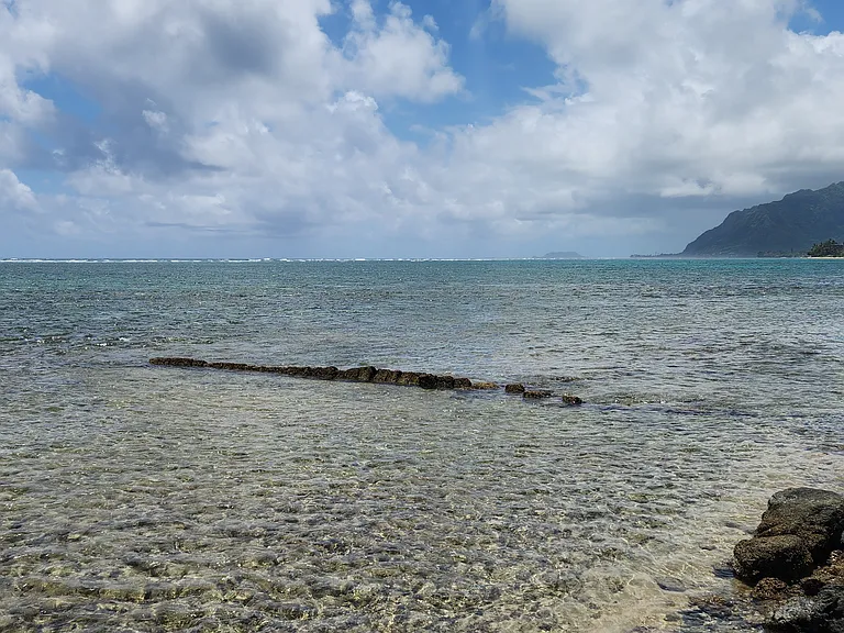 53-845 Kamehameha Hwy — Photo 18