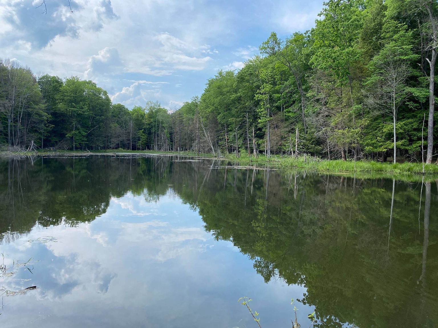 0 Beaver Valley Rd WP001, Fallentimber, PA 16639 Zillow