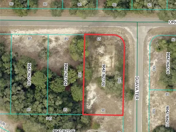 11745 Orange Rd Lot 5, Ocklawaha, FL 32179