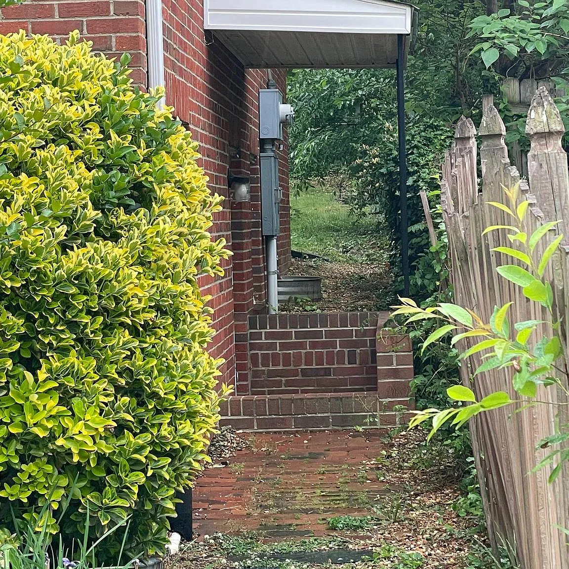 1 bed, 950 sqft, $1,195 — Photo 1