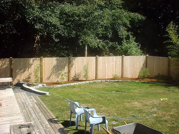 Right Side of Backyard