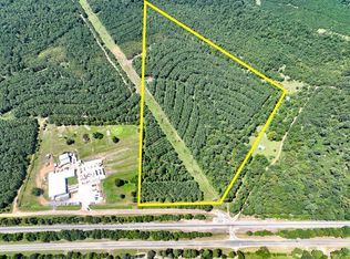 5 State Highway 49, Avinger, TX 75630