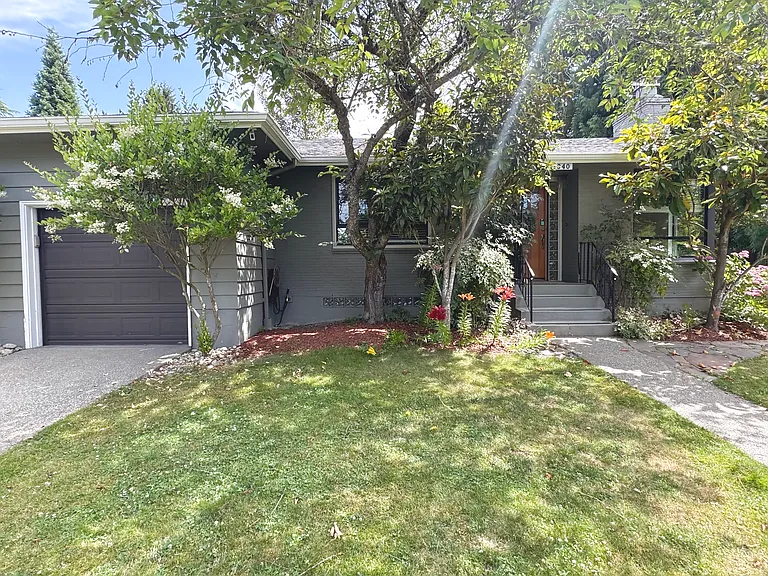Front yard
