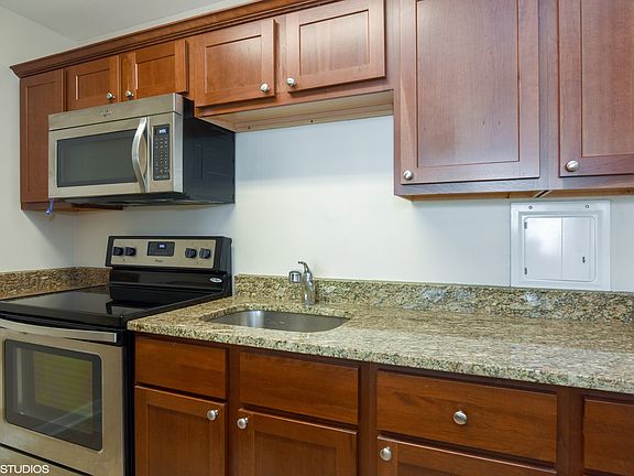 5th image of 535 N Michigan Ave APT 2910