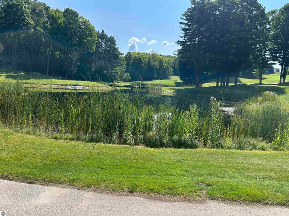 LOT 48 Sparrow Hawk Dr, Bellaire, MI 49615