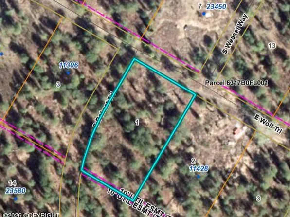 11360 E Wolf Trl, Trapper Creek, AK 99683