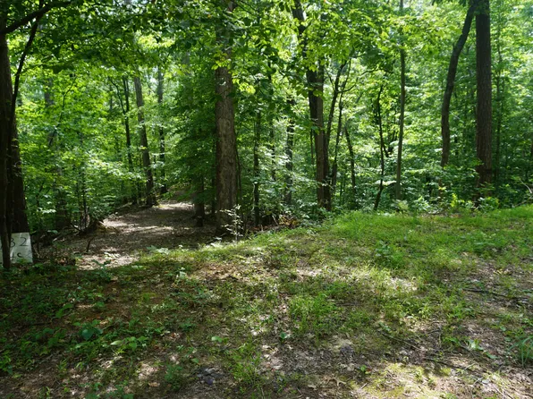 LOT 732 Mossy Hollow Rd, White Pine, TN 37890
