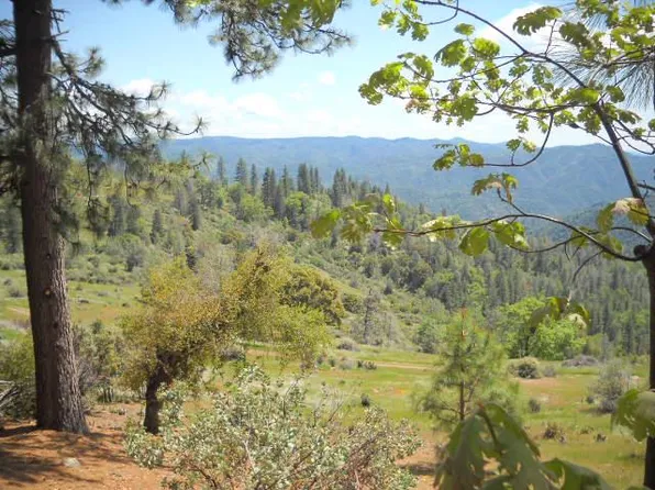 1202 Heather Dr, Murphys, CA 95247