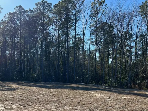 2741 W Timber Crest Lane NE, Leland, NC 28451