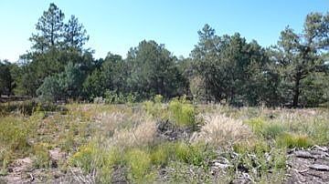 cleared lot; ready to go