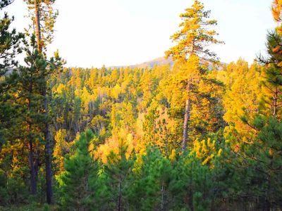 TRACT 2 Palmetto, Lead, SD, 57754