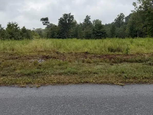 0 Brown Town Rd, Brodnax, VA 23920