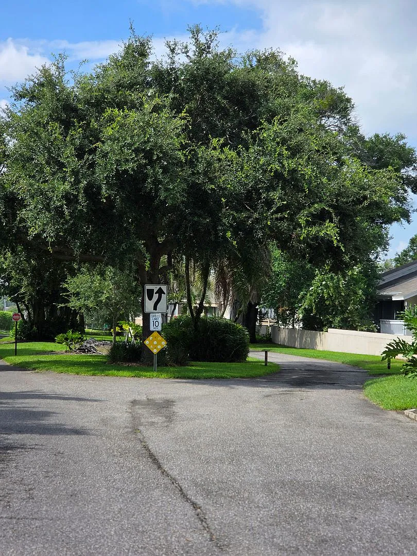 Altamonte Springs 3- Condo — Photo 3