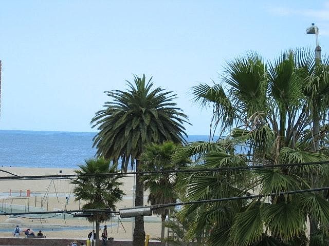 view from patio