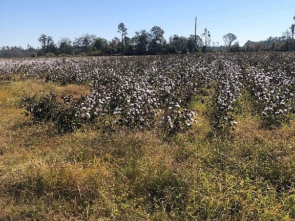 3rd image of 100 Highway 125 N