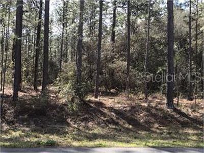 1933 CR 243C LOT 6, Wildwood, FL, 34785