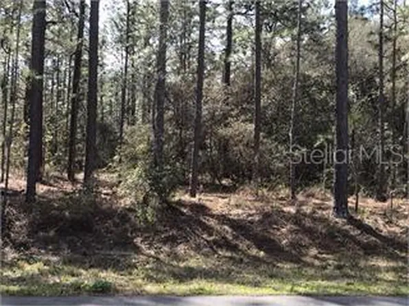 1933 County Road 243c Lot 6, Wildwood, FL 34785