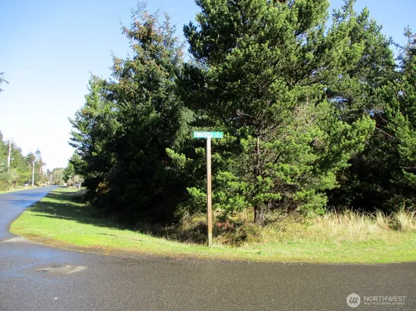 408 Bass Avenue NE, Ocean Shores, WA 98569