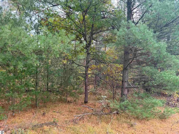 0 Rifle River Trl, Prescott, MI 48756