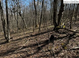 Tbd Saddle Rd, Boone, NC 28607