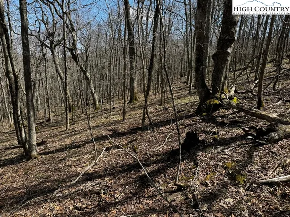 TBD Saddle Road, Boone, NC 28607