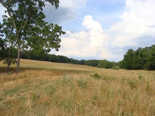 4th image of 6698 County Line Rd