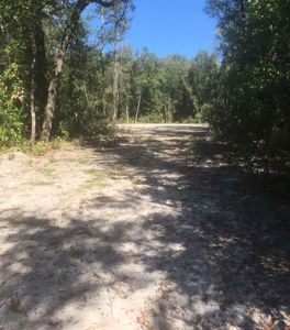 280 Street, High Springs, FL, 32643