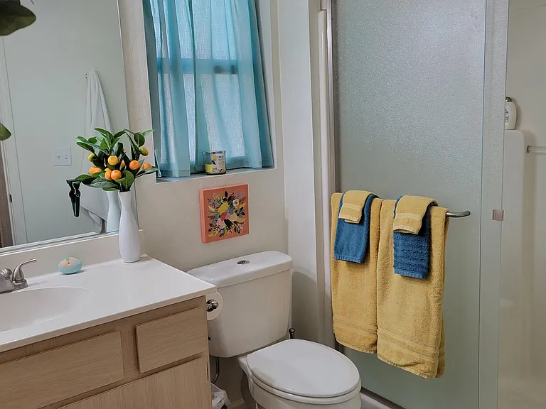 Hall bathroom with walk in shower