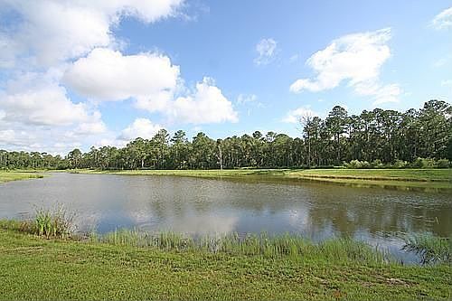 CONSERVATION VIEW