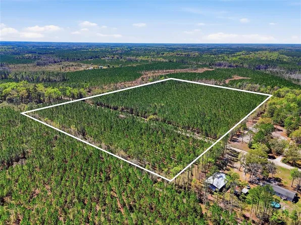 SE Pounds Hammock Rd, Lake City, FL 32025