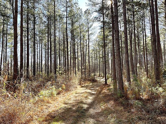 2nd image of 1709 Briarwood Rd