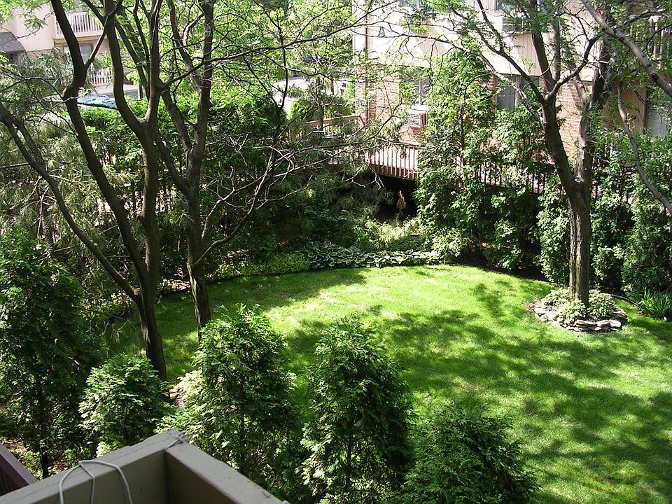 Garden view from balcony.
