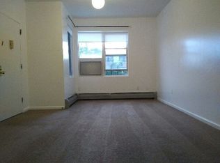132 Noll St #2, Brooklyn, NY 11206