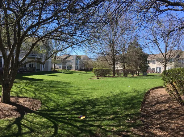 5933 Heatherwood Drive 19151, Schaumburg, IL 60194