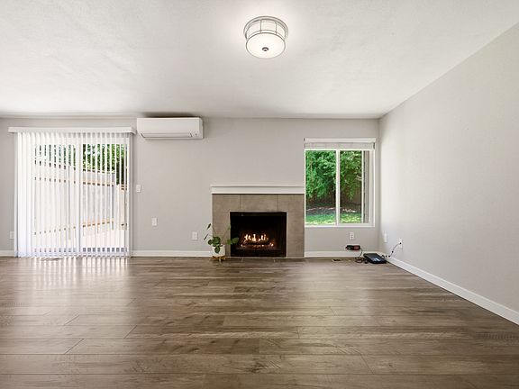 Wood burning fireplace. Mini split with heat and cooling.