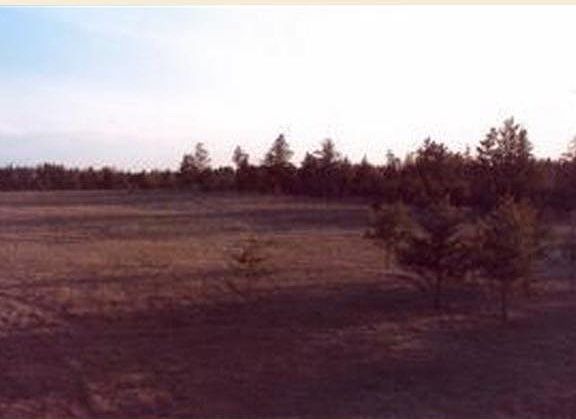 3rd image of School Forest Drive