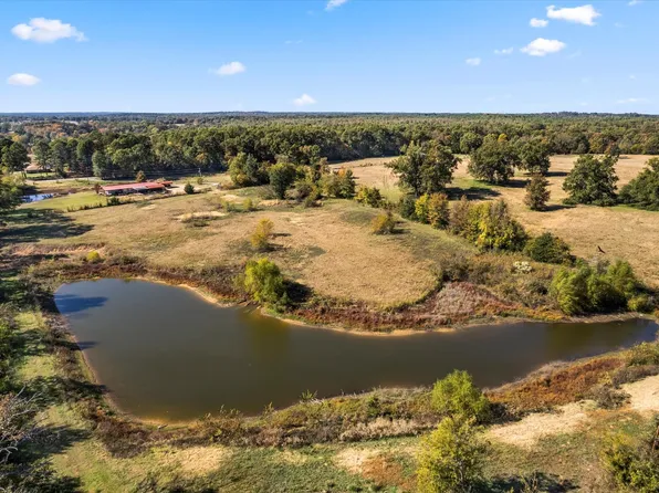 2096 Fm 21, Pittsburg, TX 75686