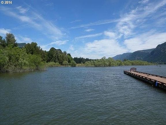 Community dock on river