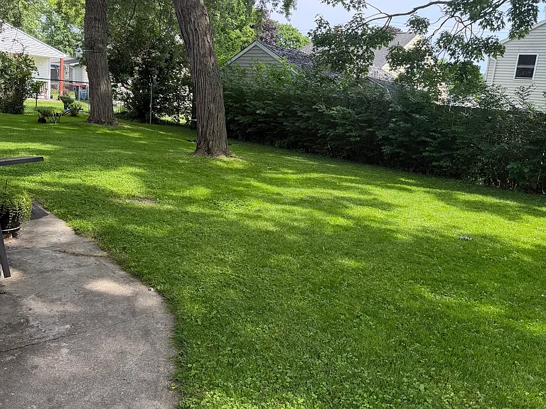 back yard